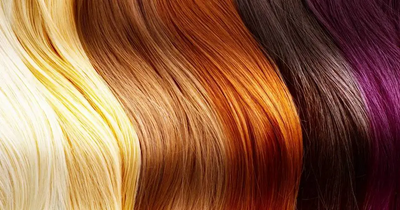 Color Choices for Human Hair Wigs